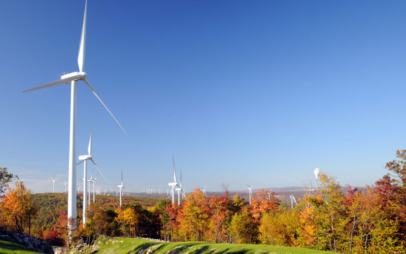 WW91242_web Wind turbines in a field of trees